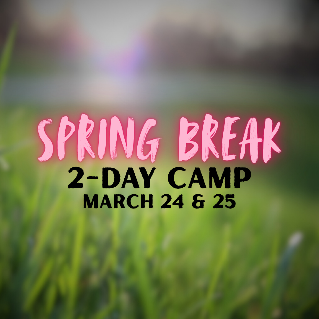Spring Break 2-Day Camp ⎸ March 24 & 25
