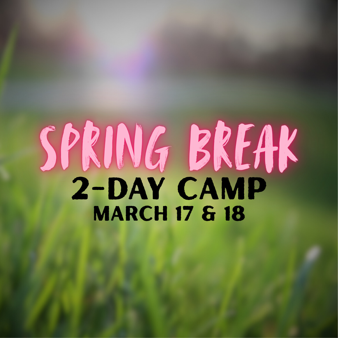 Spring Break 2-Day Camp ⎸ March 17 & 18