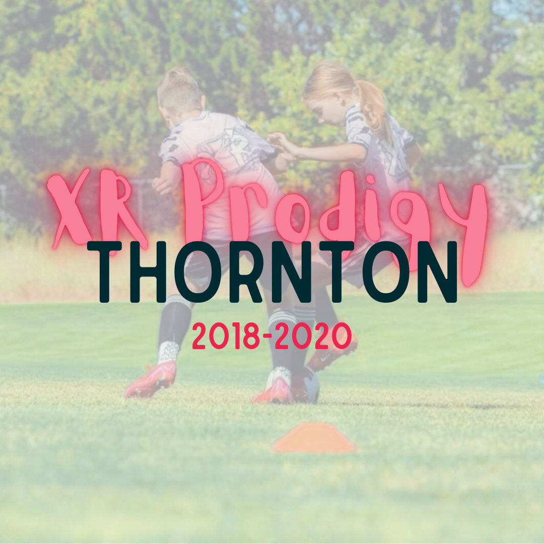 summer 26 products-2.png