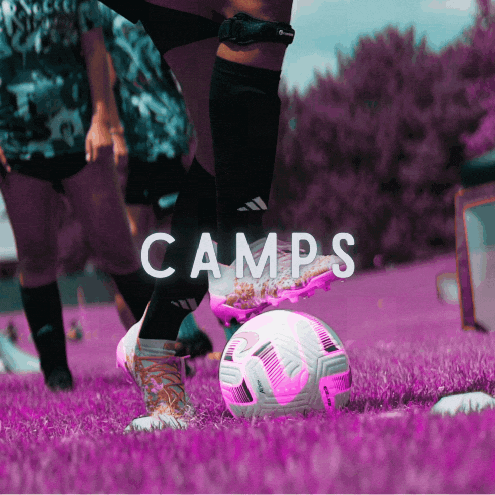 Copy of General XR Summer.gif