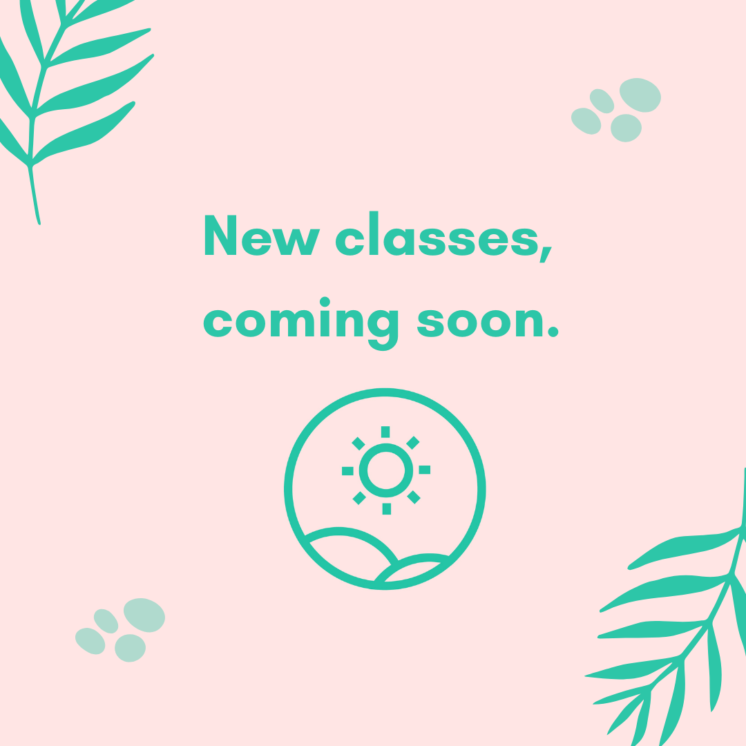 New classes coming Feb/March 2024