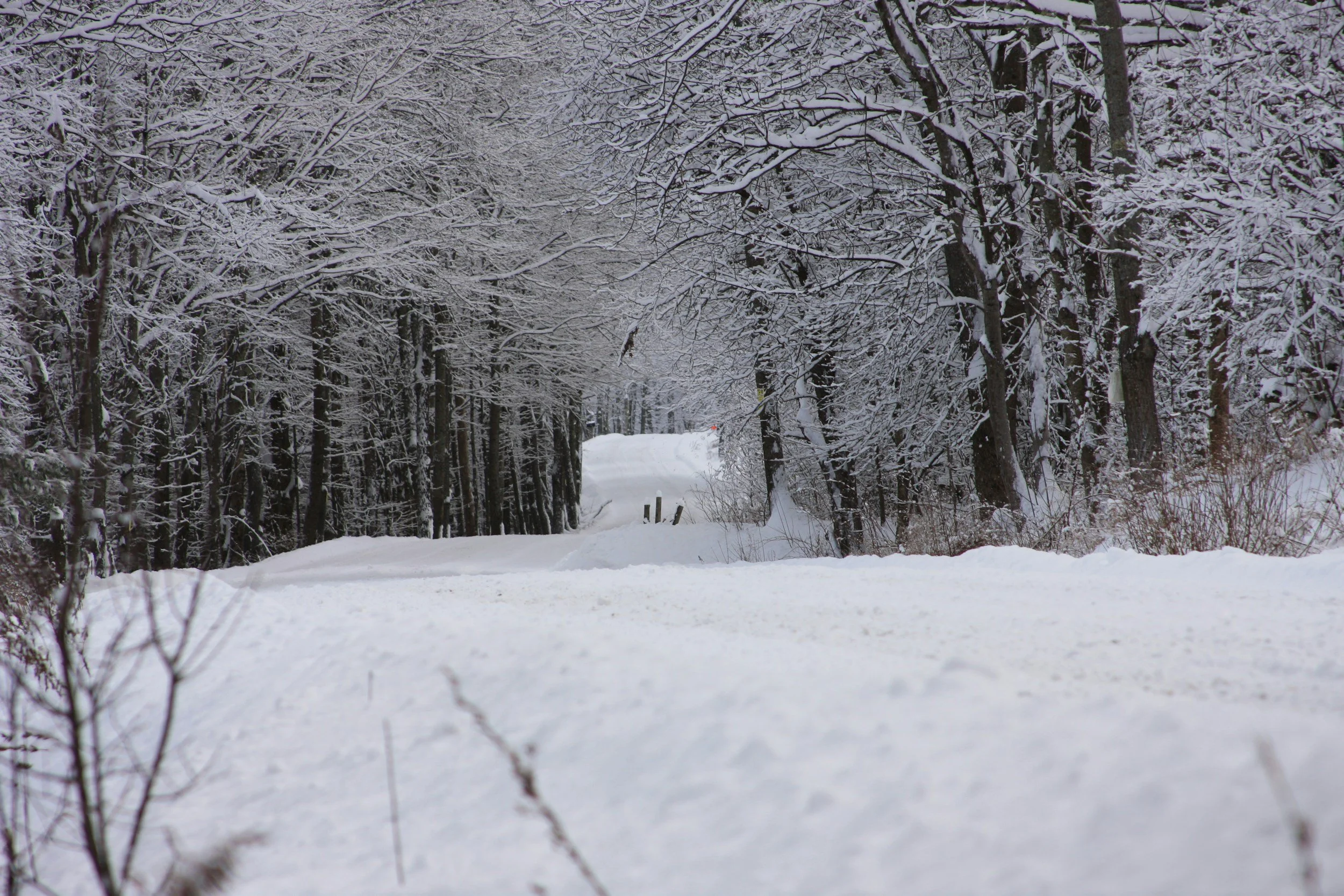 Sunday Services Canceled