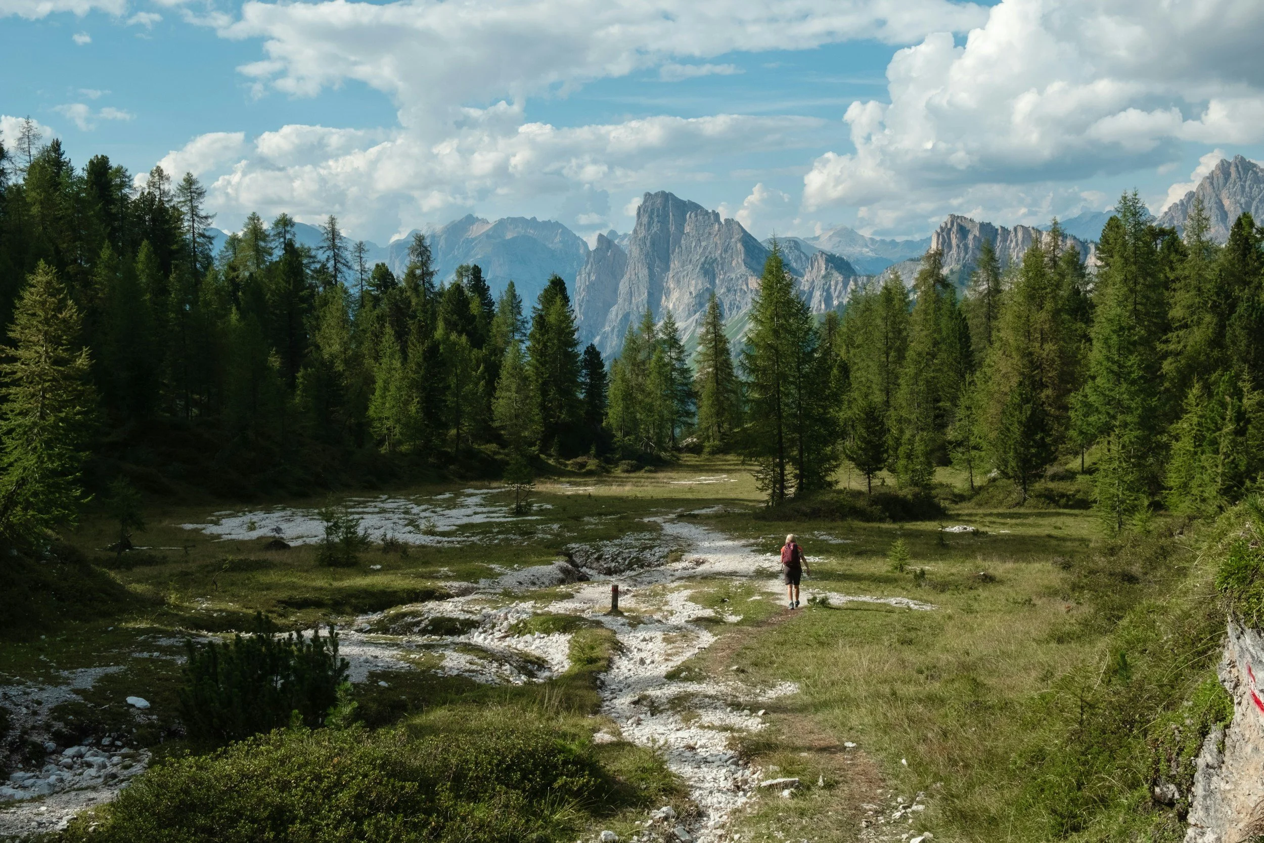 Wilderness Living Bible Series