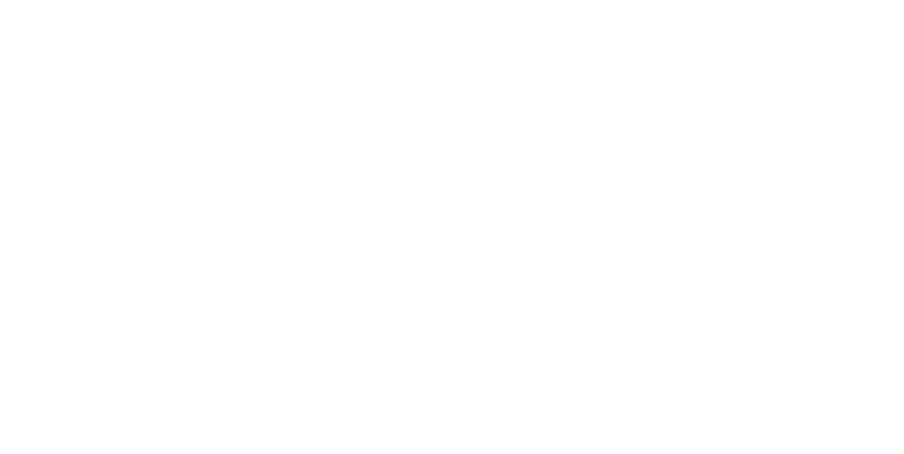  Minneapolis St. Paul International Film Festival 