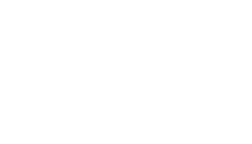  Buffalo International Film Festival 