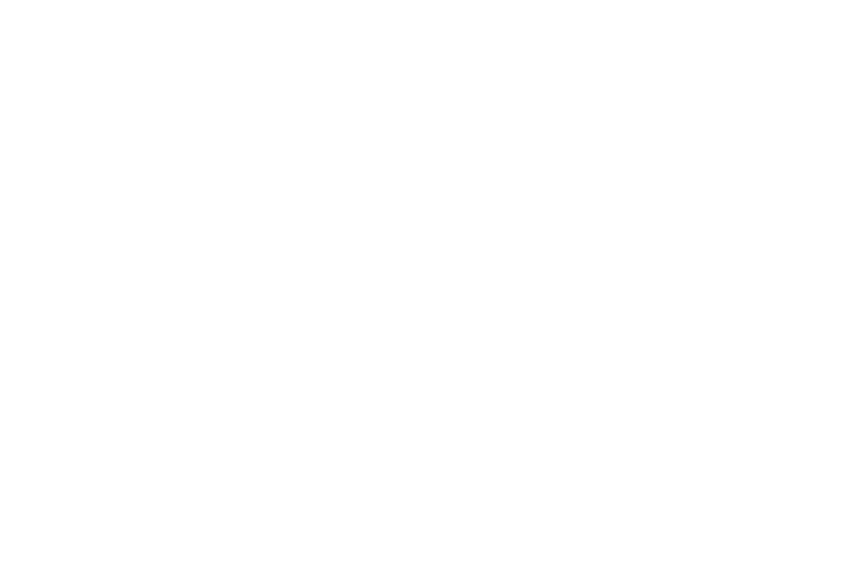  Brooklyn Film Festival 