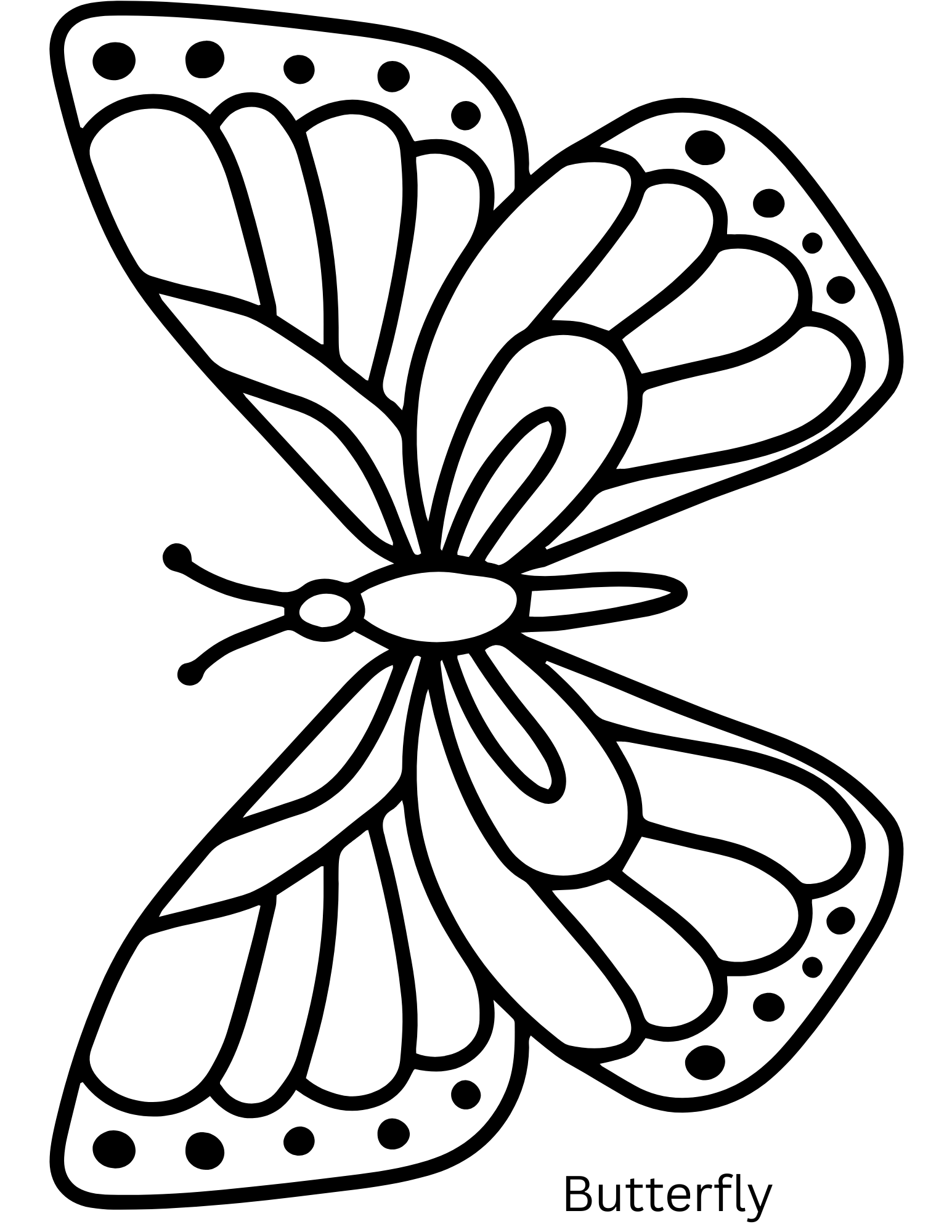 Embroidery Patterns  - .png