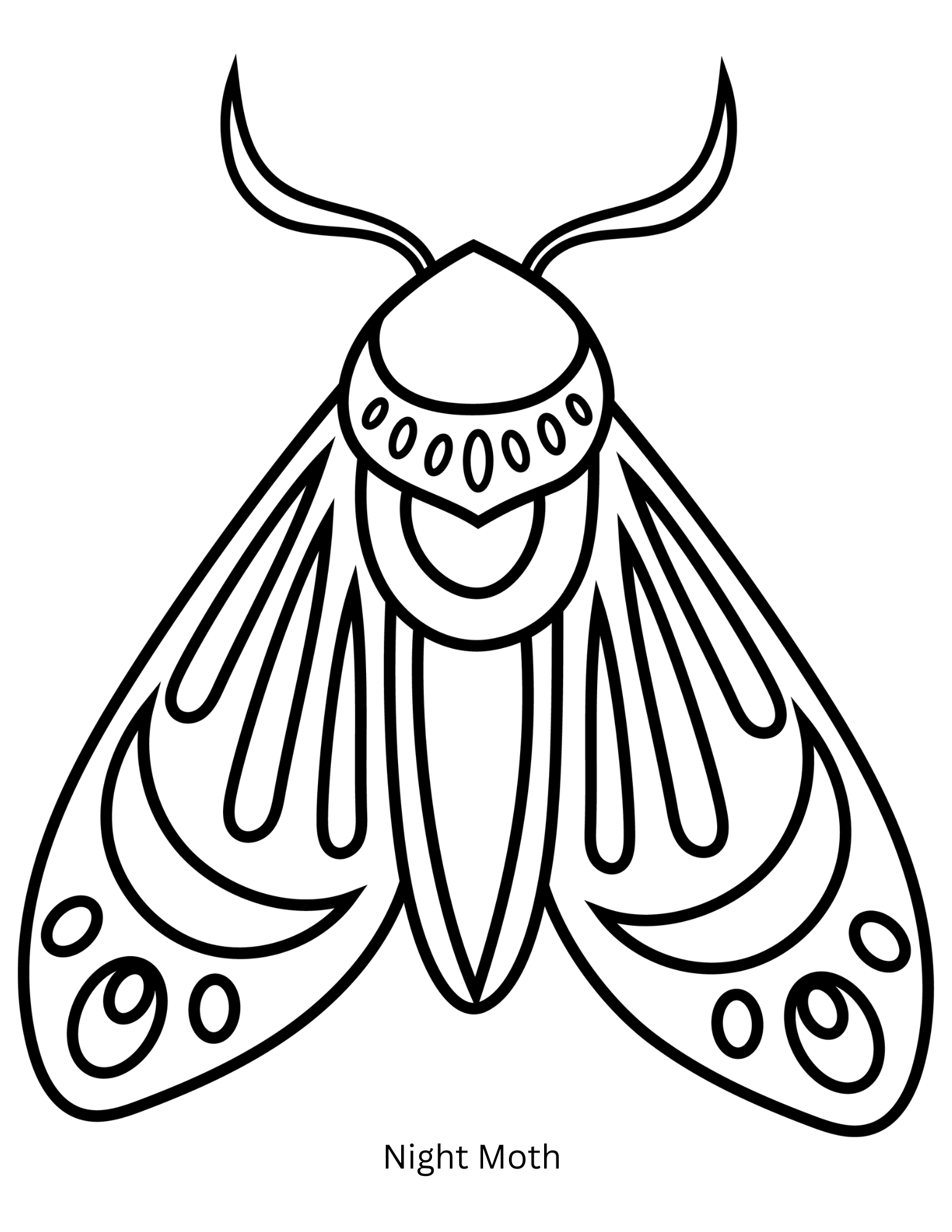 Embroidery Patterns  - 2.png