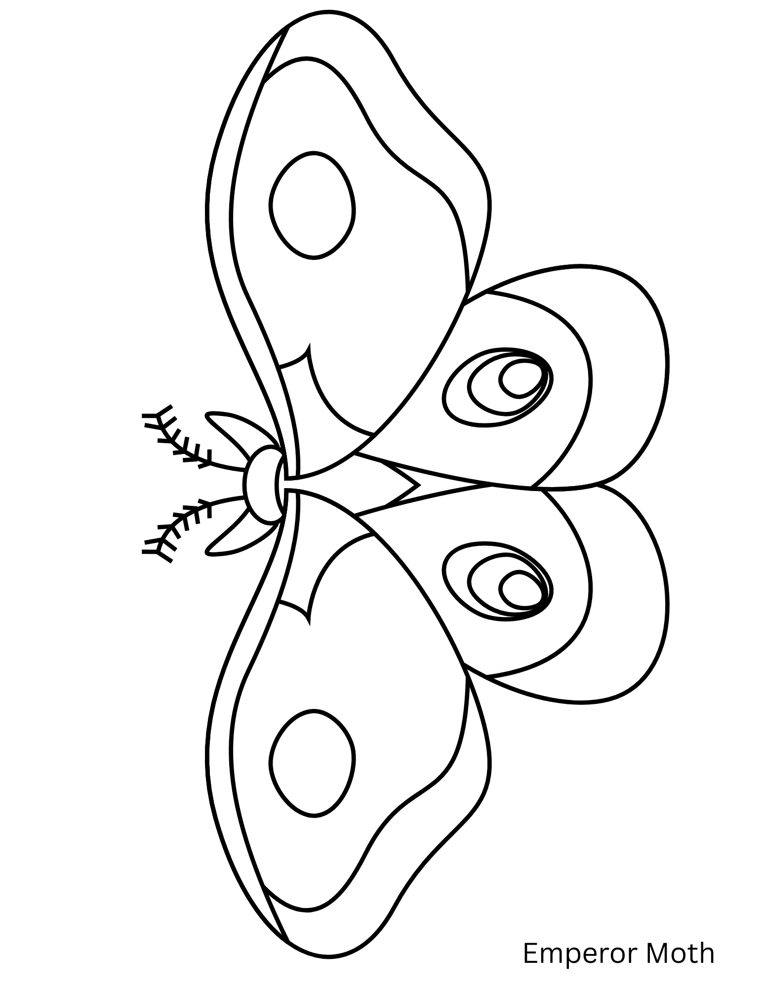 Embroidery Patterns  - 1.png