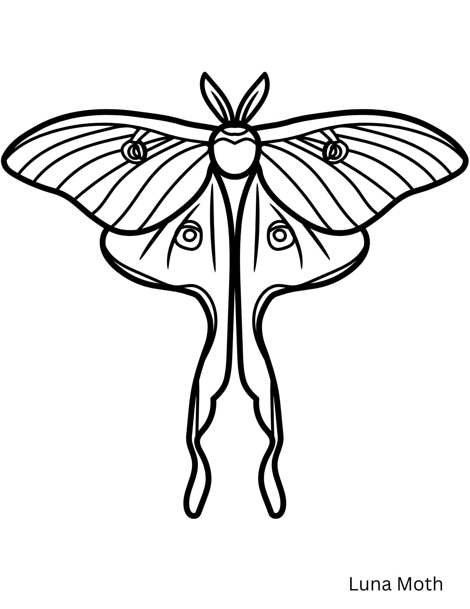 Embroidery Patterns  - 6.png