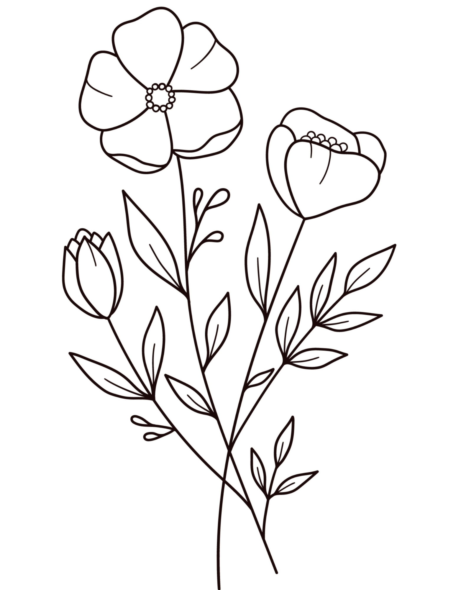 Untitled_Artwork.pdf.png (Copy) (Copy)