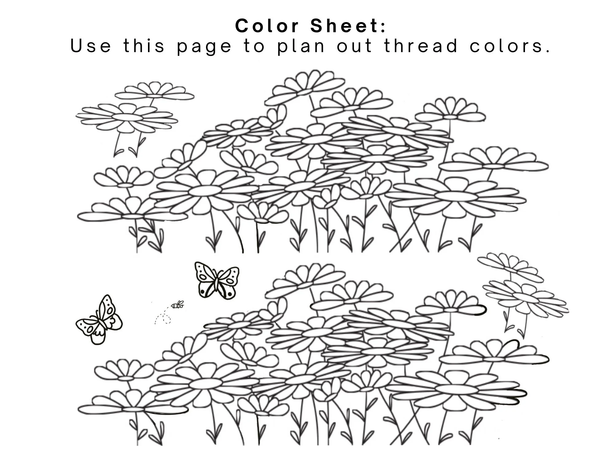 Copy of Stick and Stitch Instructions - Daisy Color.jpeg