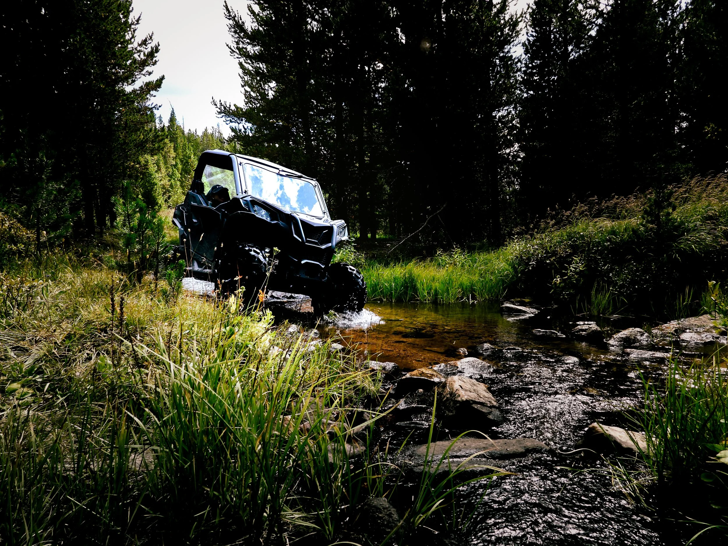 Roosevelt National Forest - Personal Project Lifestyle Shoot