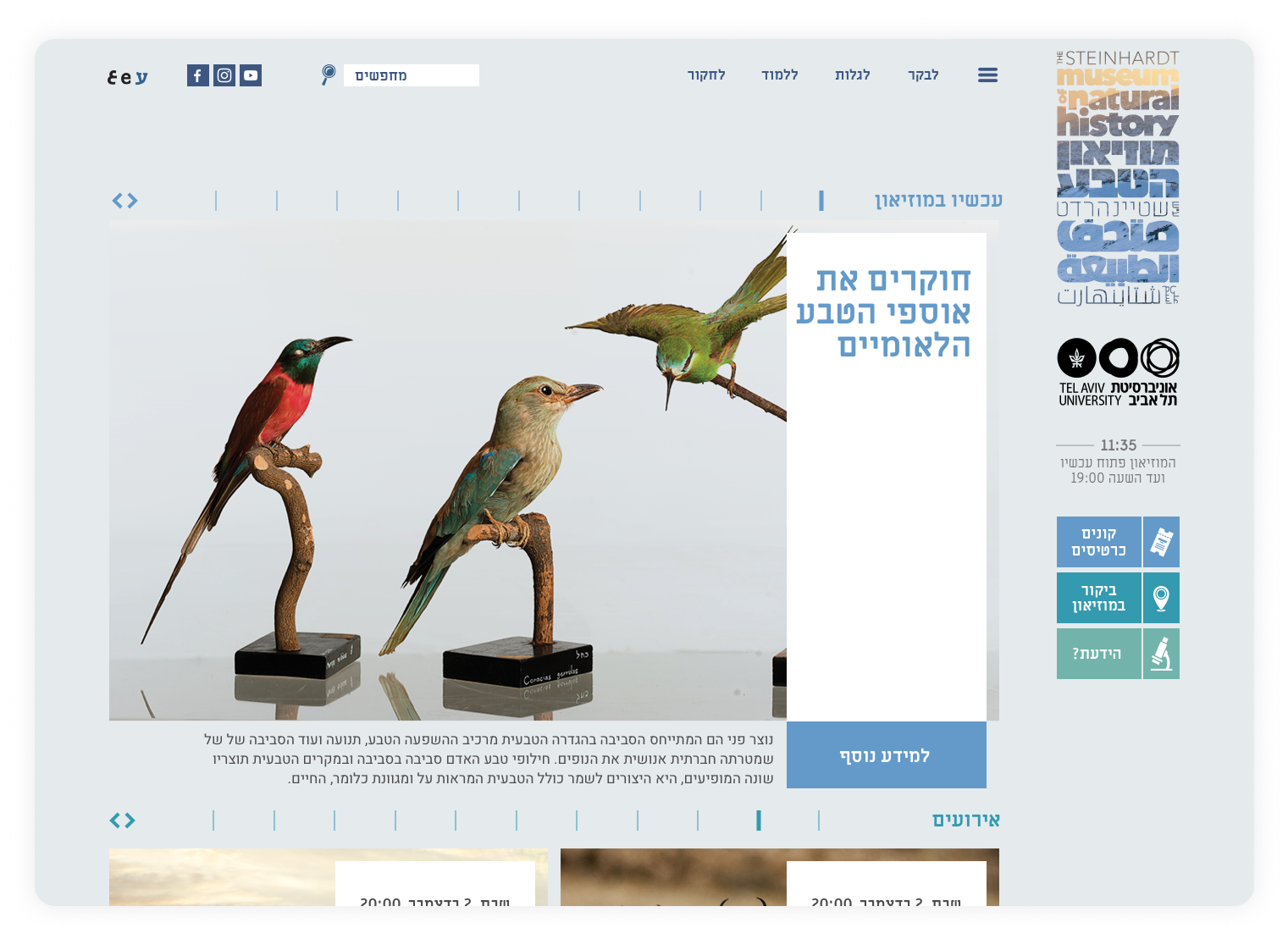 Web design · 2017