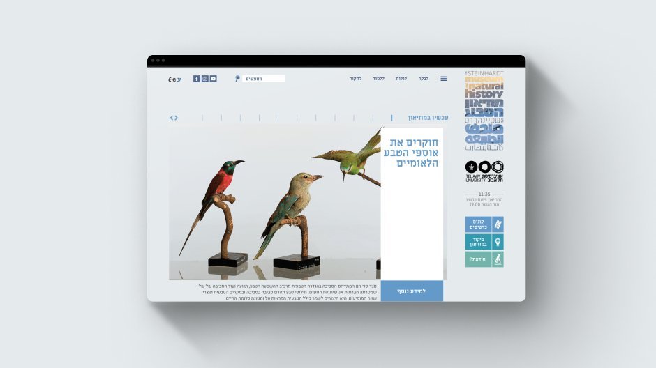Web design · 2017
