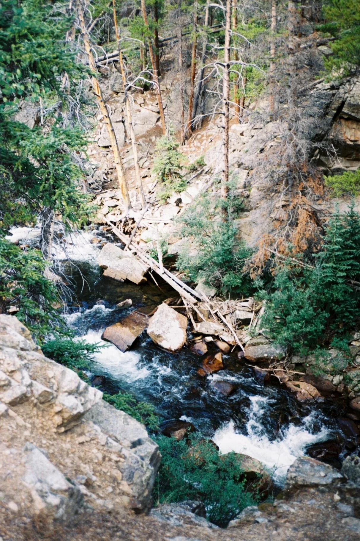 2327124_2327124-R1-061-29+copy.jpg