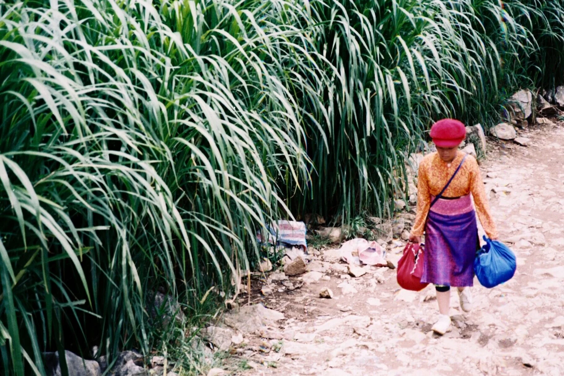 HaGiangLoop3+copy.jpg