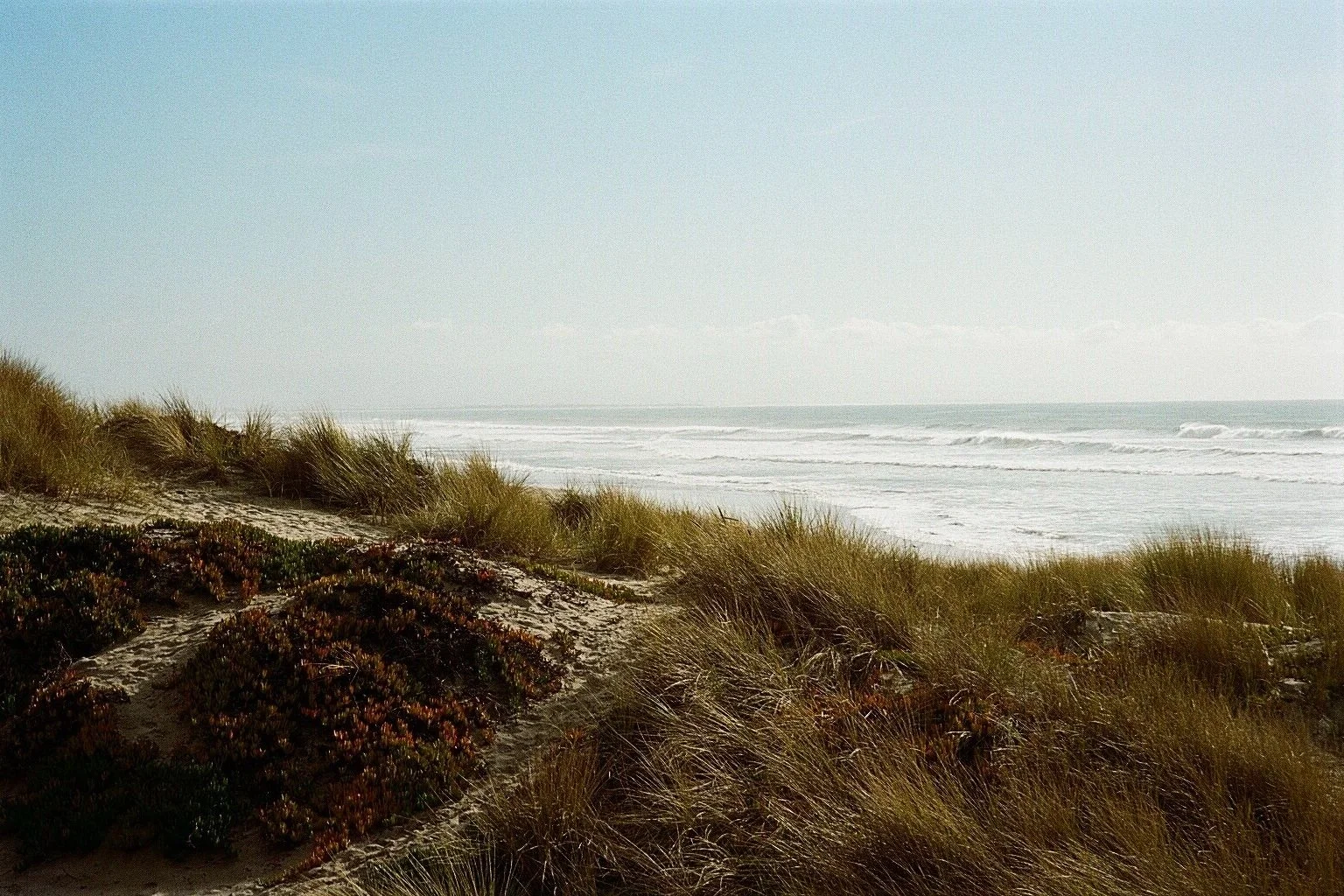Watsonville+copy.jpg