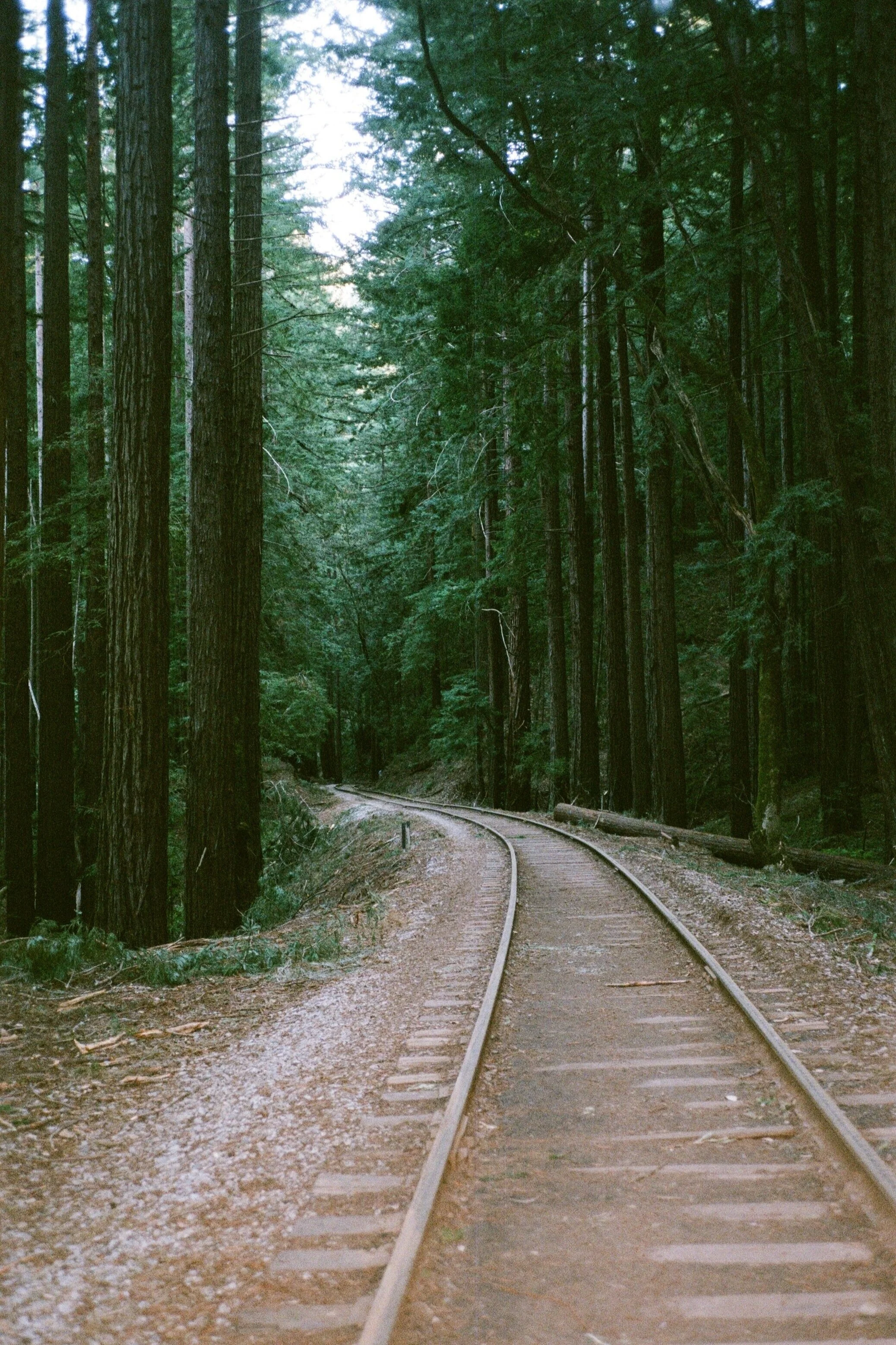 000014020013.jpg