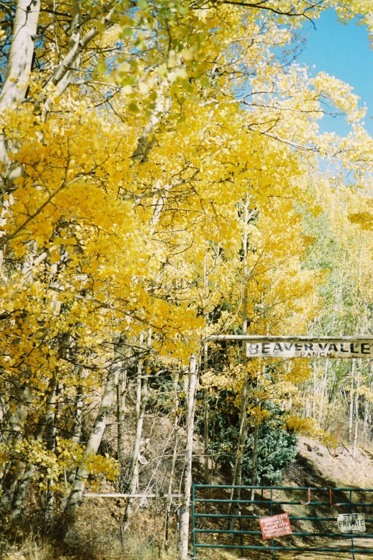 9647973_9647973-R1-023-10.jpg
