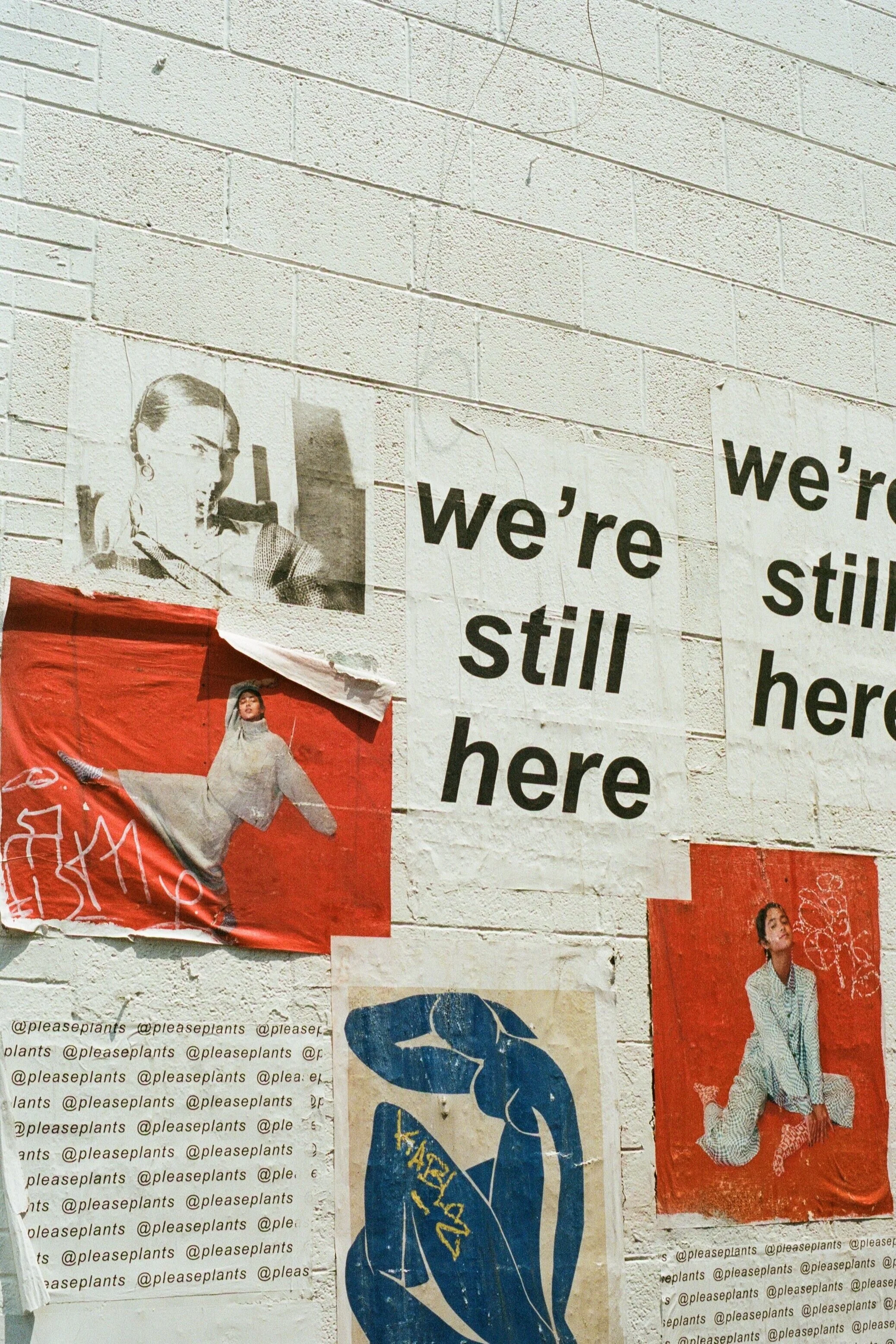 000047630019.jpg