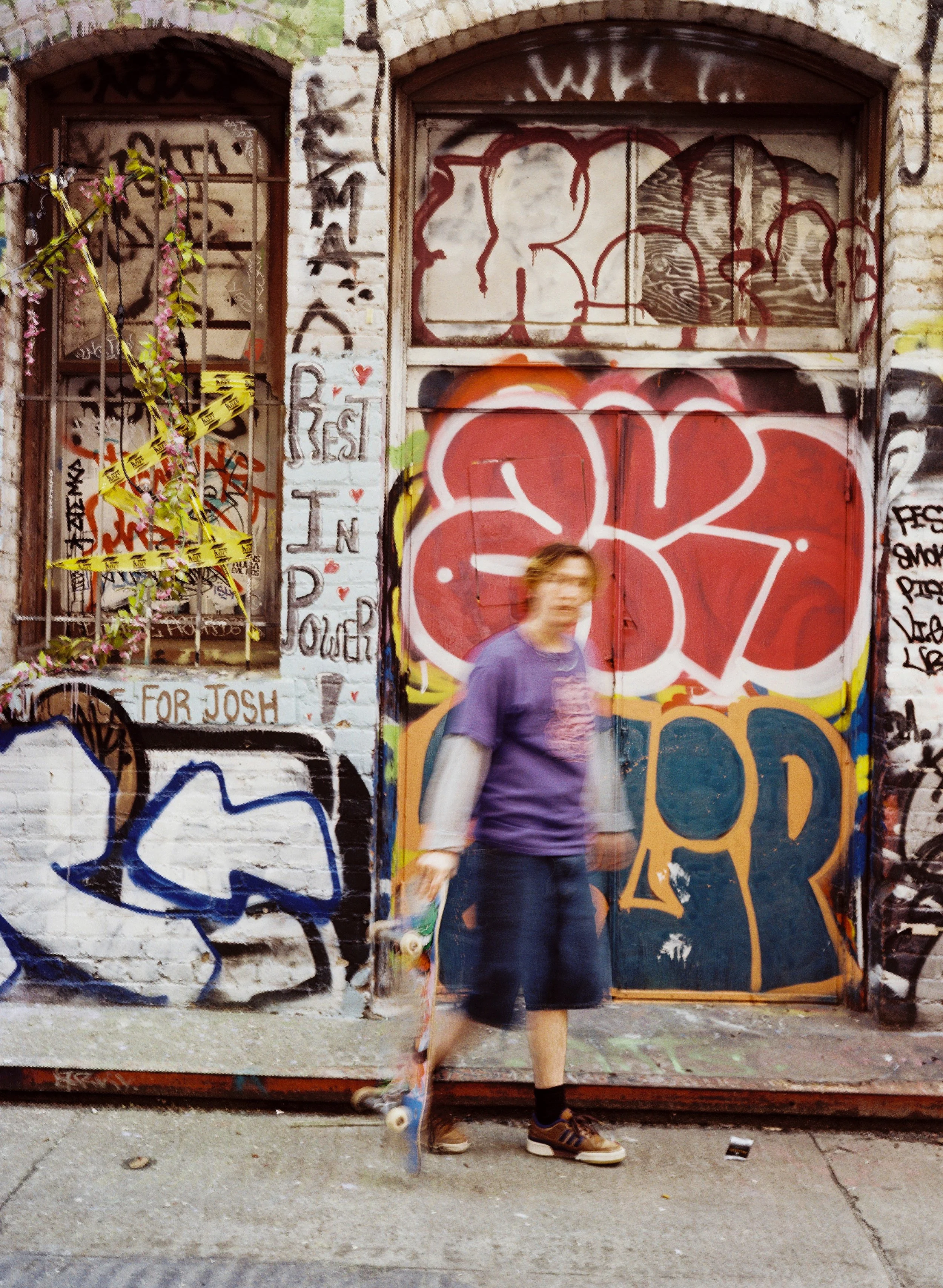 shag--alley.jpg