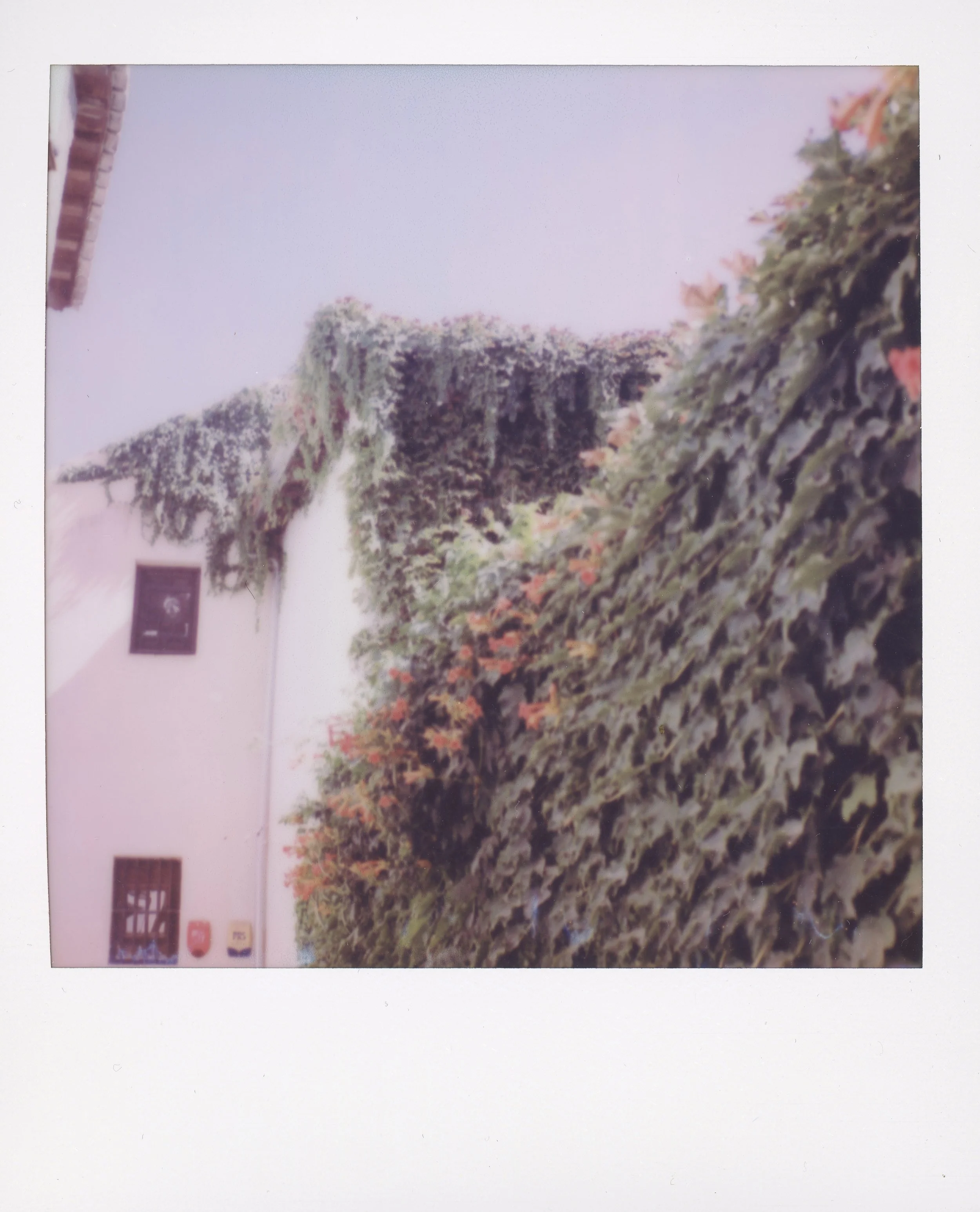 spain sx70 3.jpg