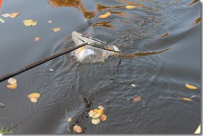 IMG_8357.jpg