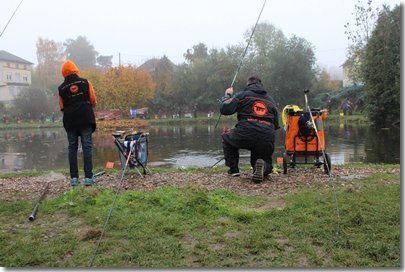 IMG_8194.jpg