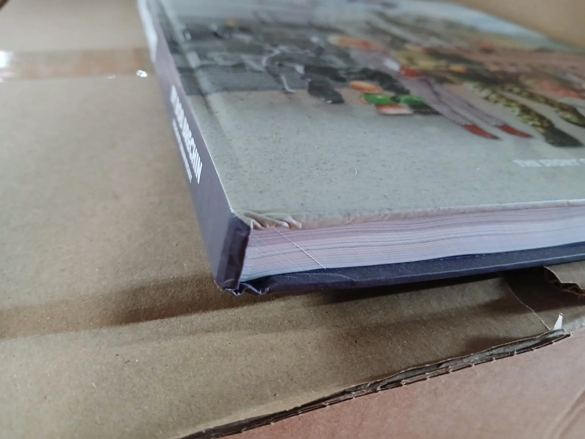 SQ8931285.jpg