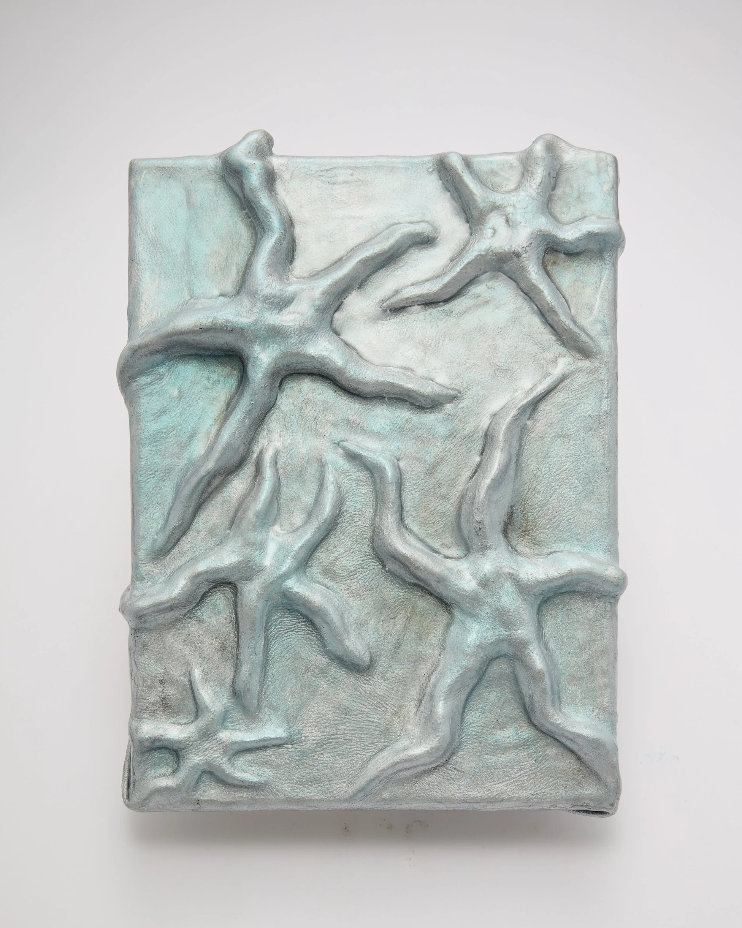 Iridescent Abstract Star Canvas Art - 9 x 12 inches