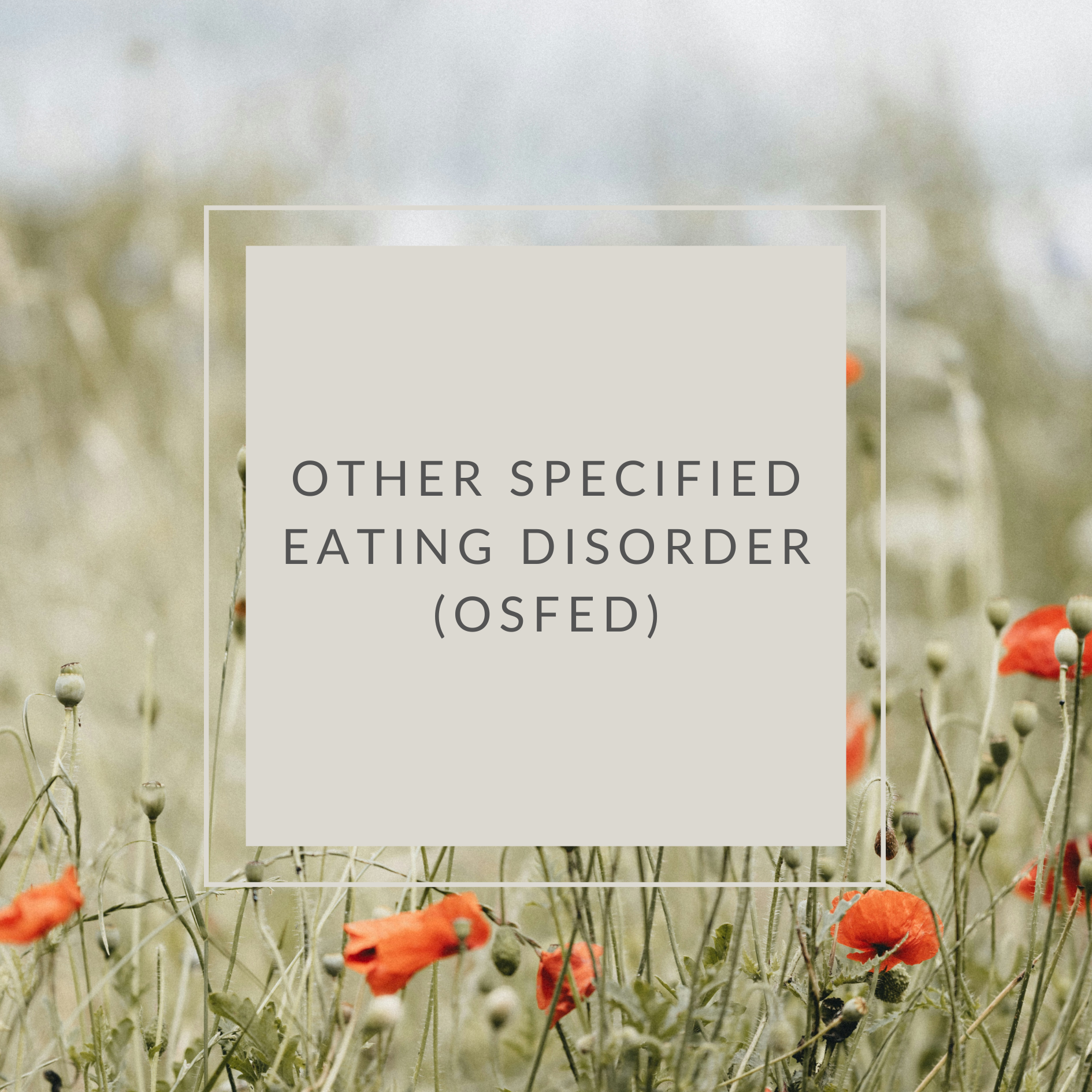 Text reading 'Other Specified Eating Disorder (OSFED)' over a blurred nature background with white flowers and greenery.