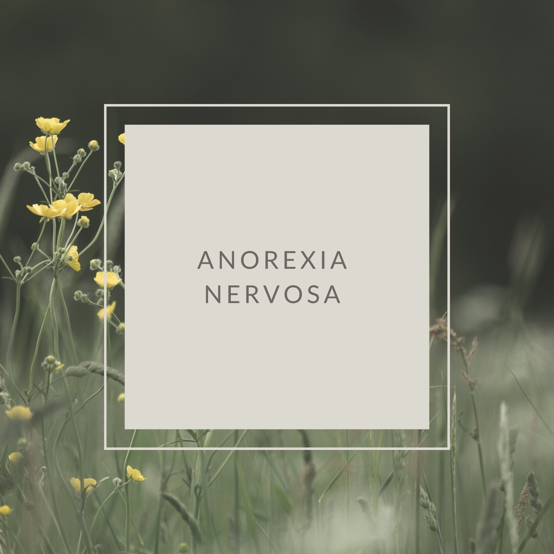 Yellow flowers in a field with text "Anorexia Nervosa" overlaid.