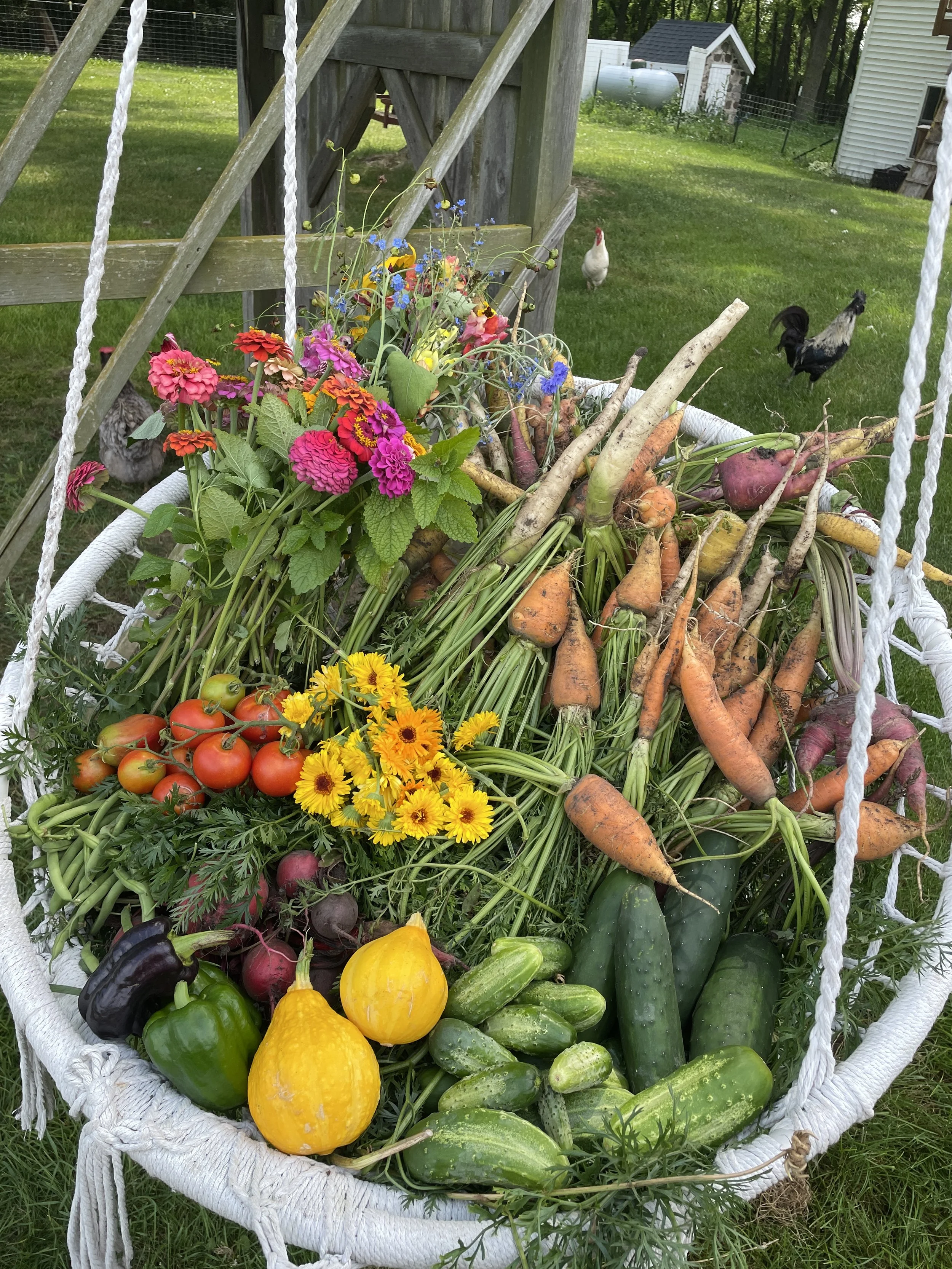 Harvest Club CSA