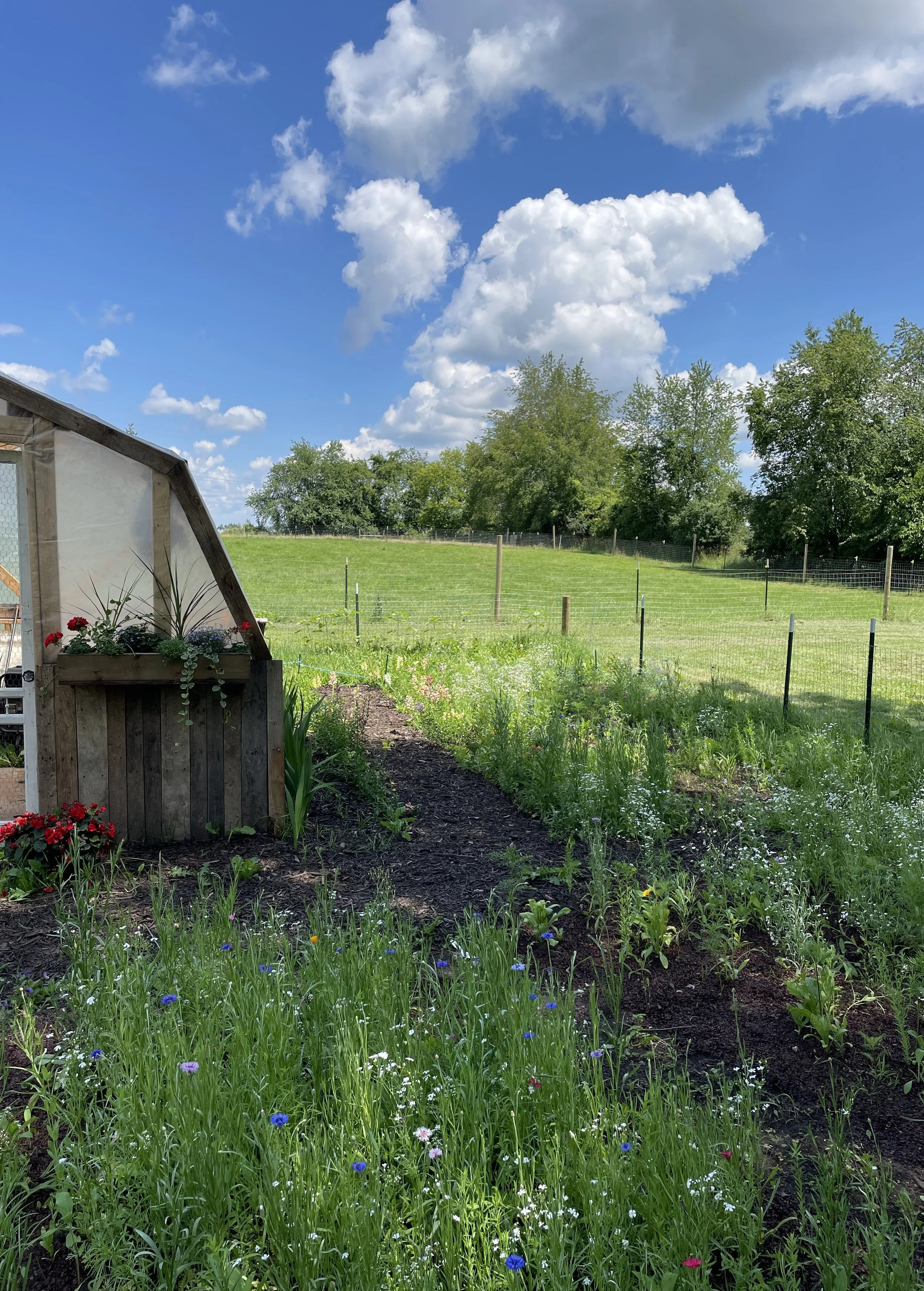flower garden greenhouse east.jpg