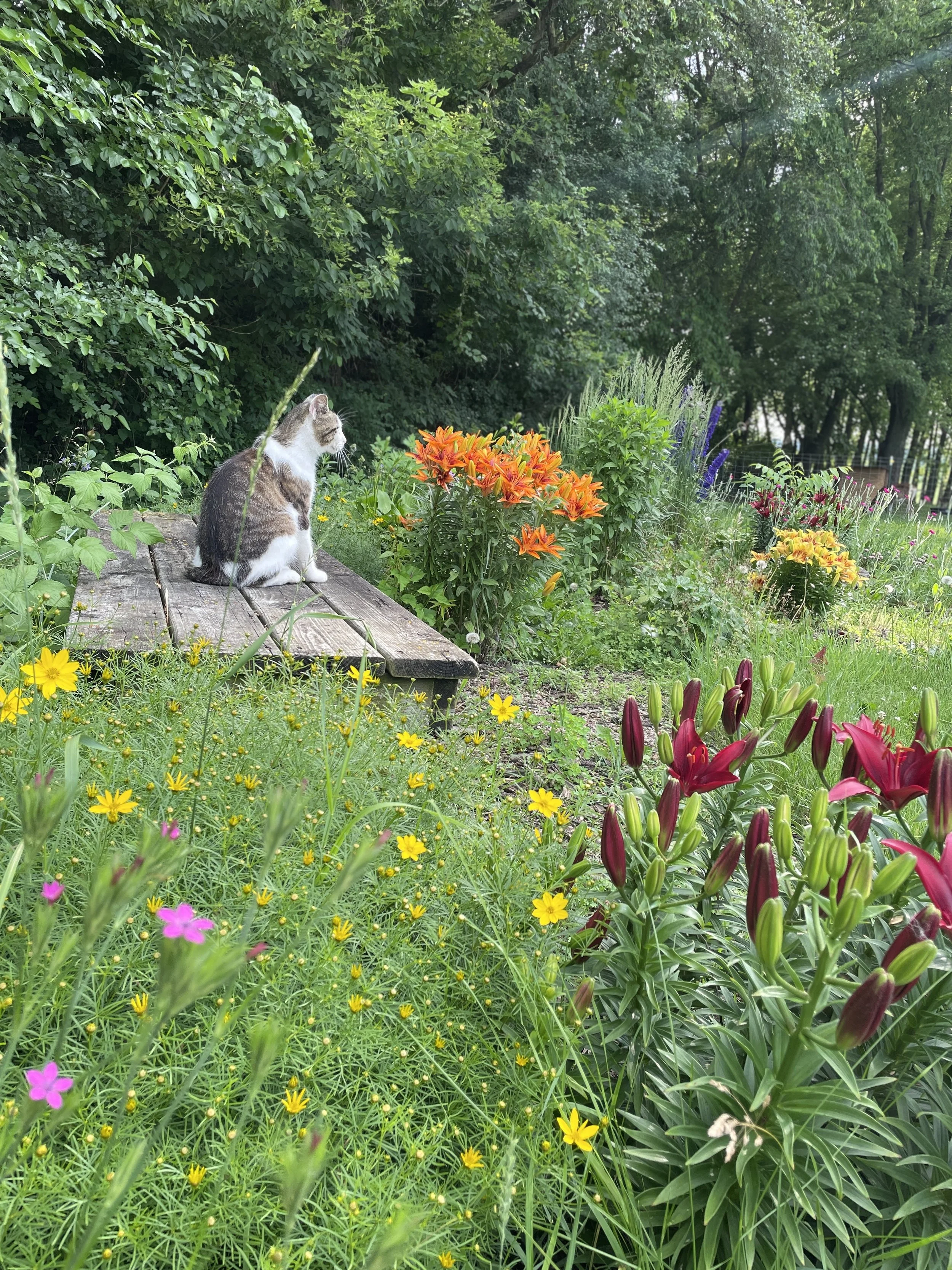 Ralphie flowers .jpg