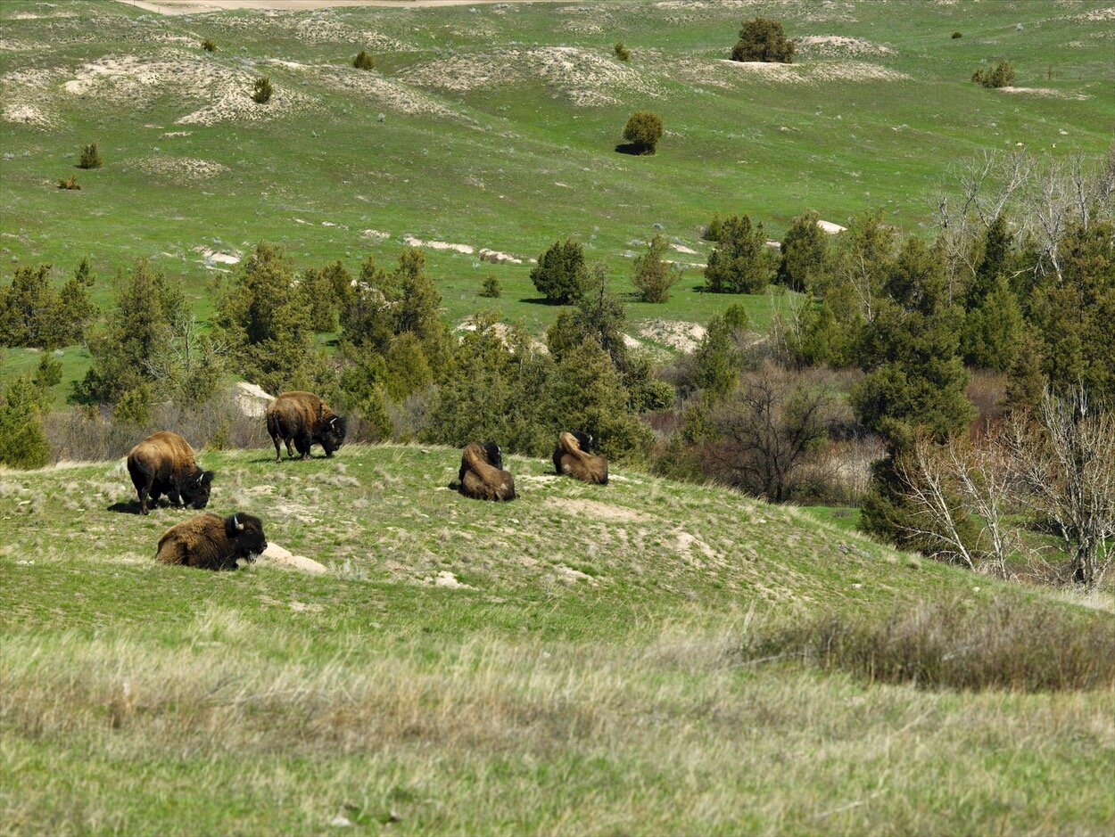 Montana 4-14_0095.jpg