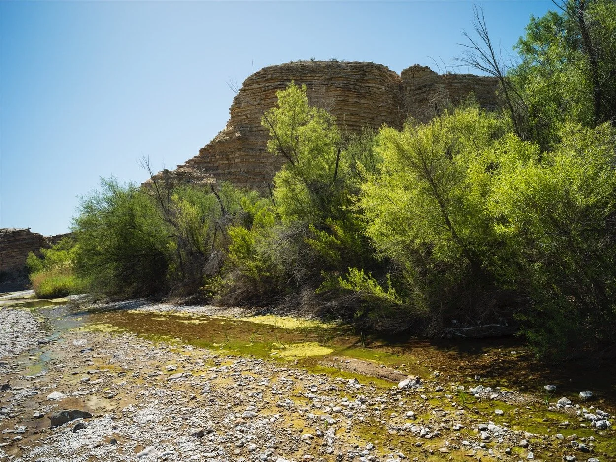 Big Bend_0359.jpg