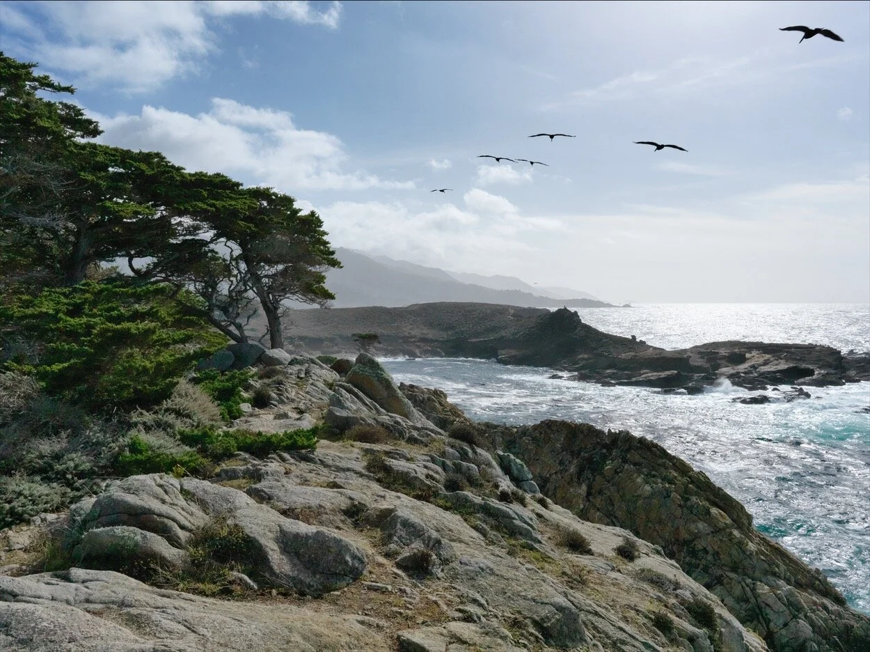Point Lobos_0051.jpg