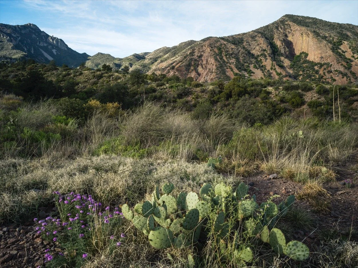 Big Bend_0144.jpg