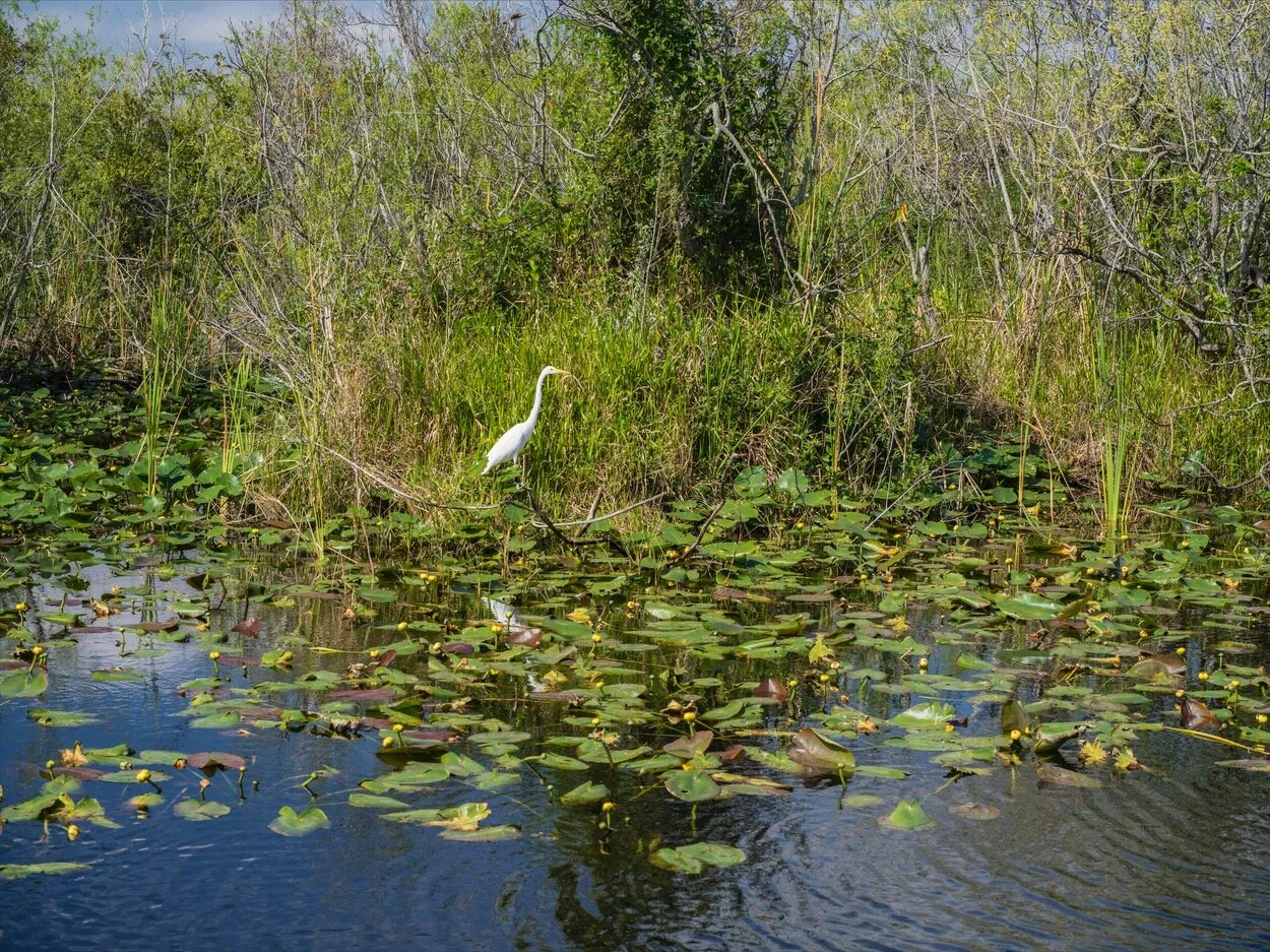 Florida_0103.jpg