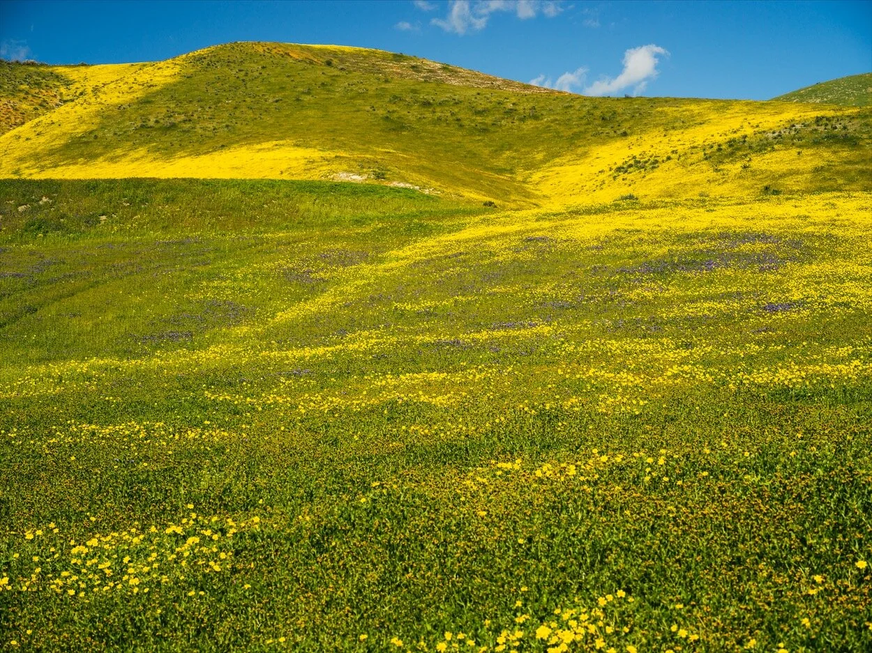 California_0438.jpg