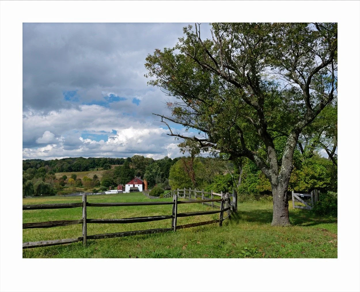 Pennypack_1524.jpg