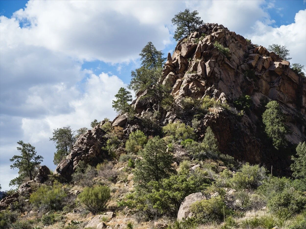 Big Bend_0264.jpg
