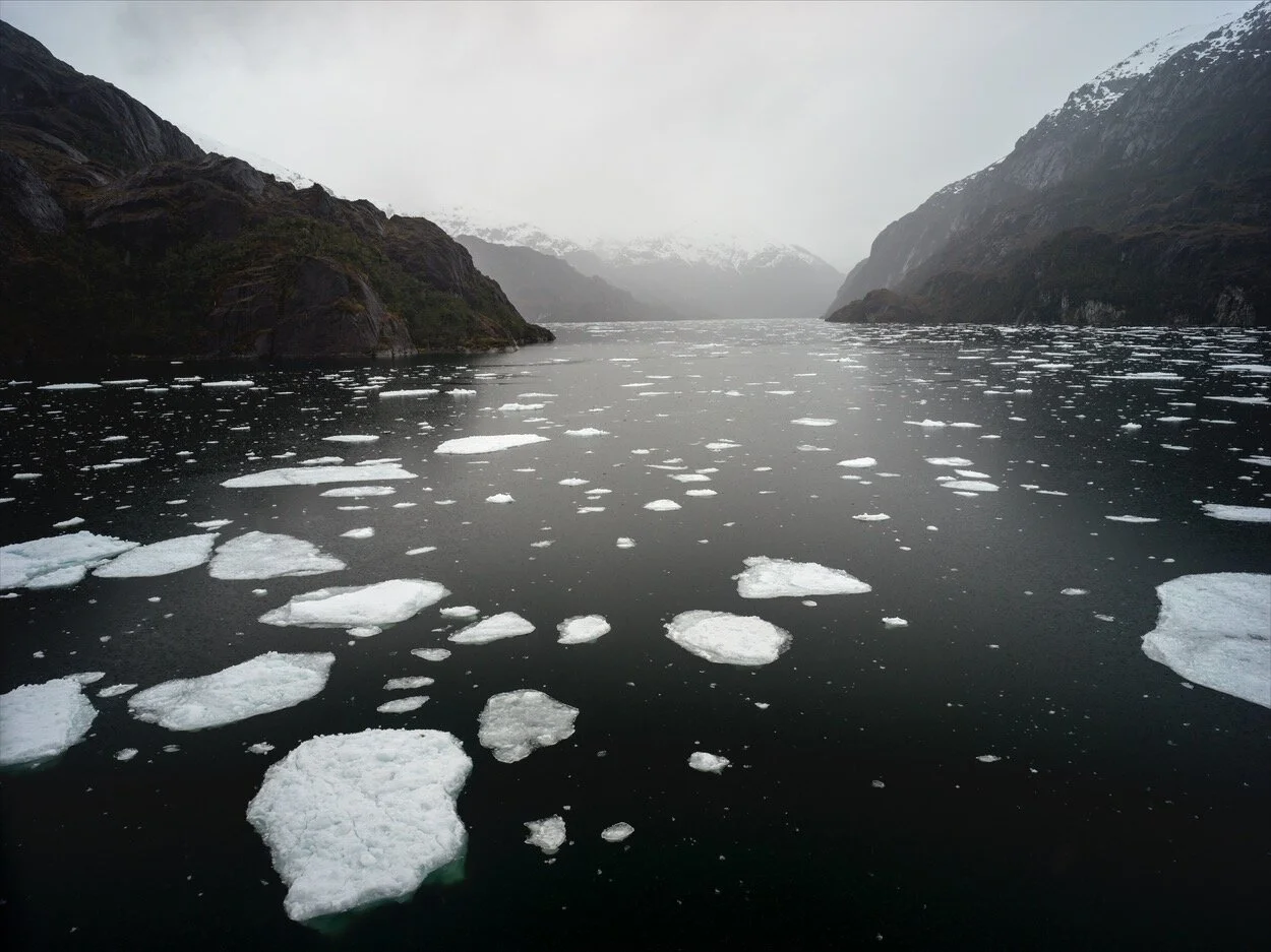Penquin Fjord 10-14-18_0338.jpg