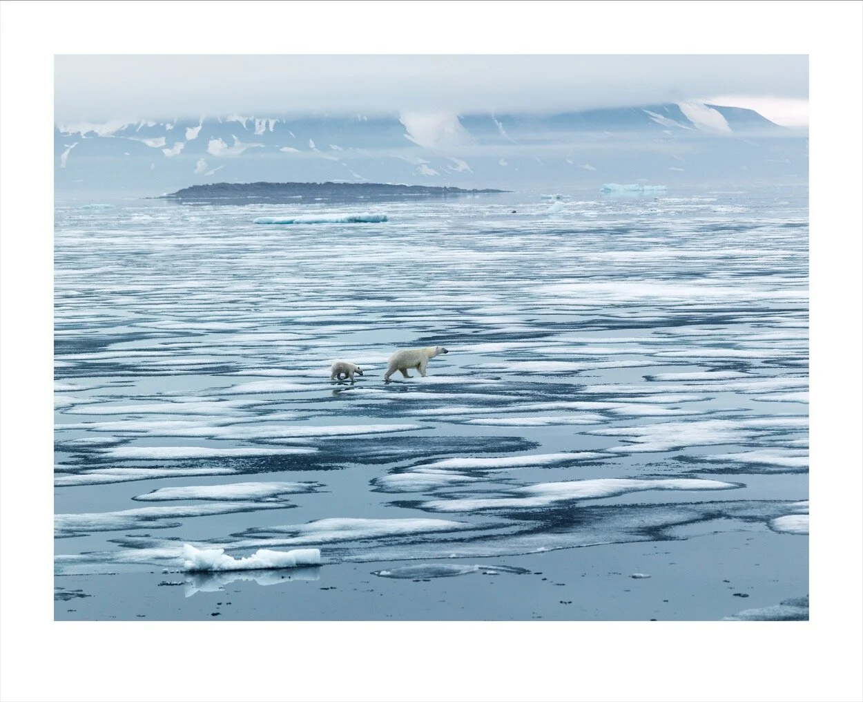 Svalbard (june-July 2013)_2278.jpg
