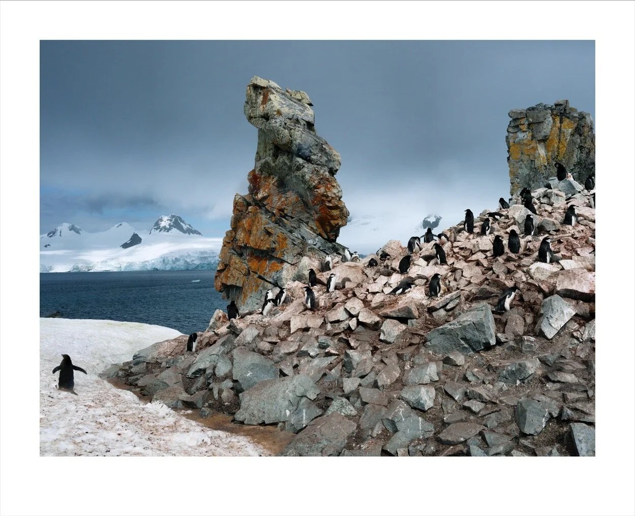 Antarctica 1-13_0070.jpg