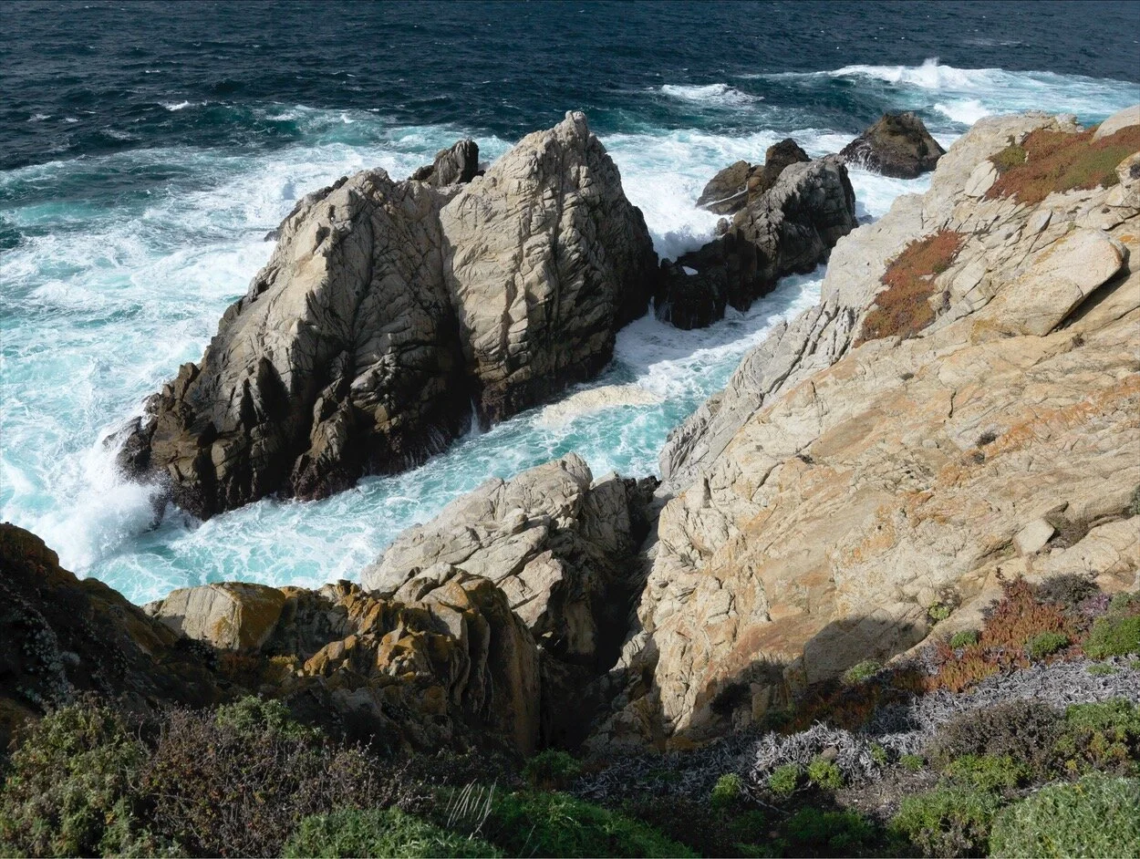 Point Lobos_0078.jpg