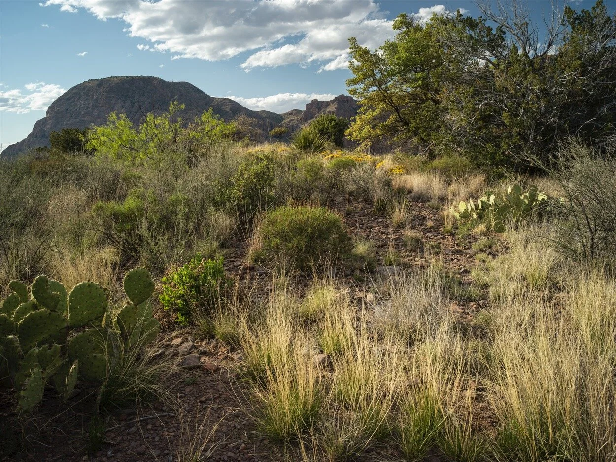 Big Bend_0072.jpg