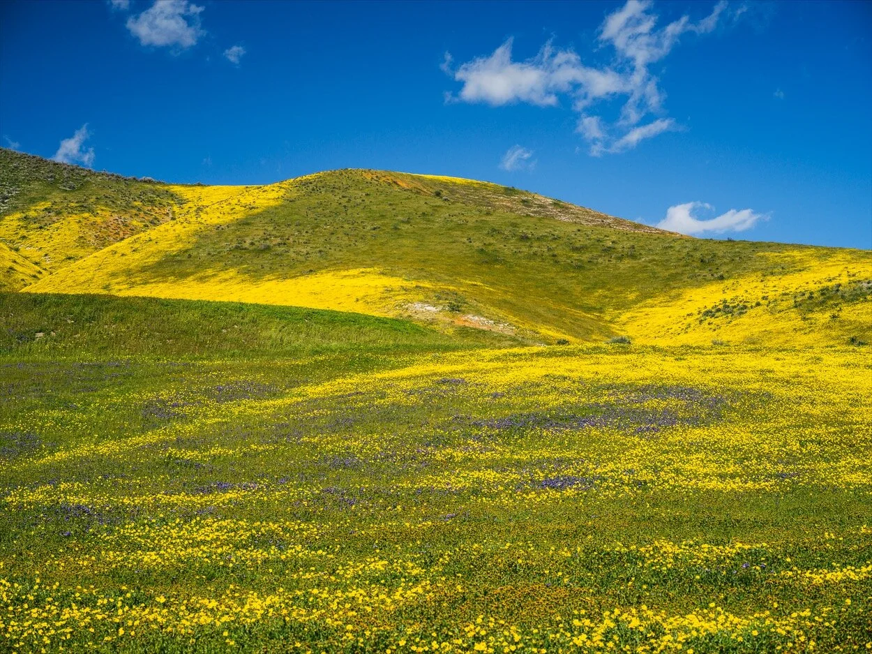 California_0435.jpg